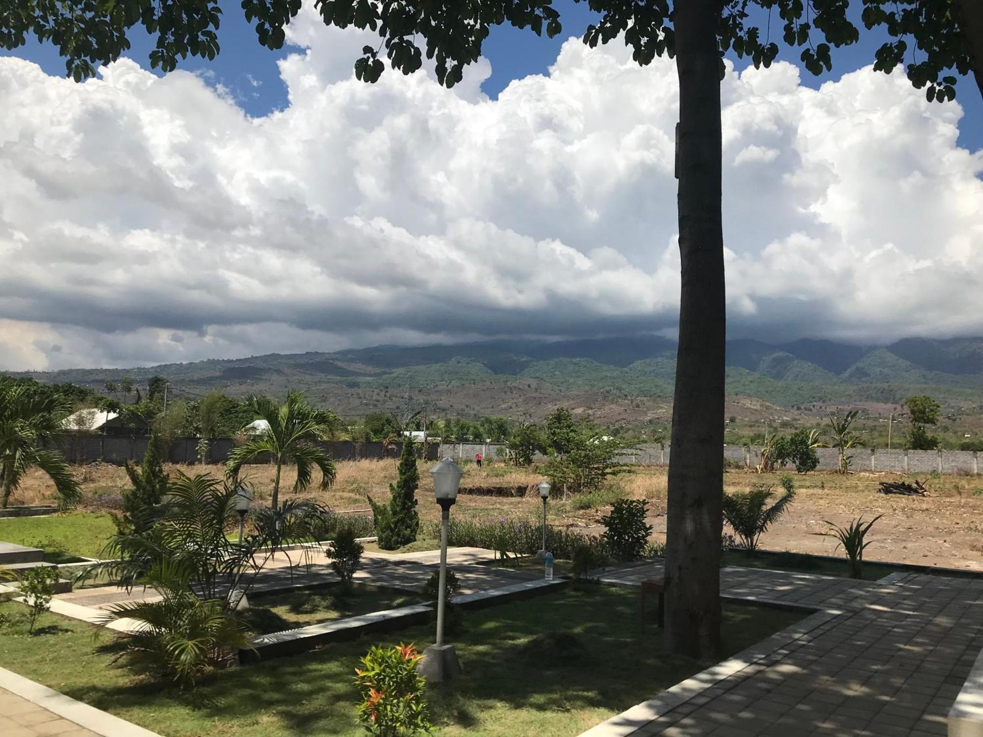 Pohon Purba Resort & Restaurant Labuhan Pandan Екстериор снимка