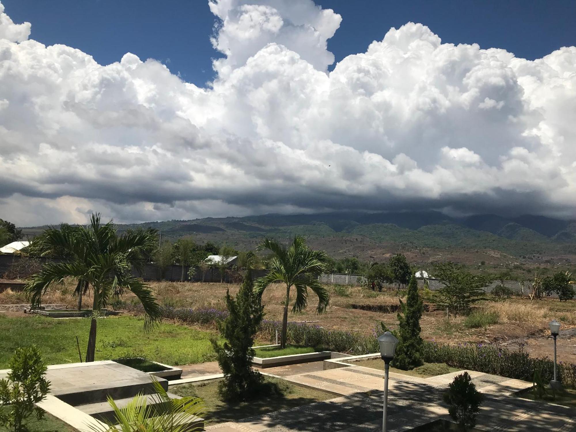 Pohon Purba Resort & Restaurant Labuhan Pandan Екстериор снимка