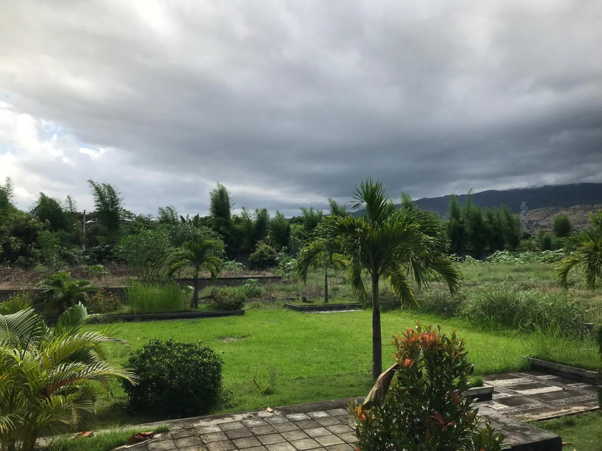 Pohon Purba Resort & Restaurant Labuhan Pandan Екстериор снимка