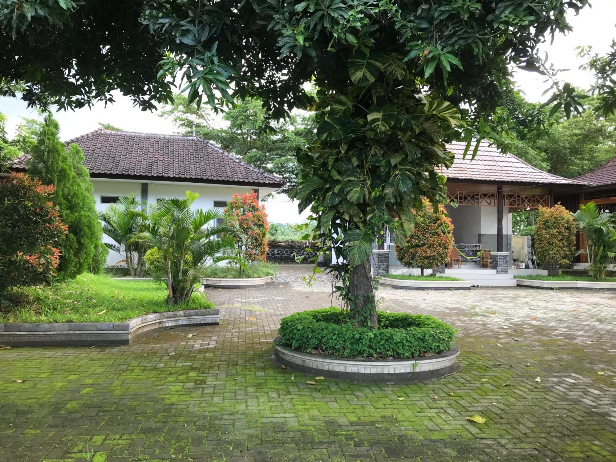 Pohon Purba Resort & Restaurant Labuhan Pandan Екстериор снимка