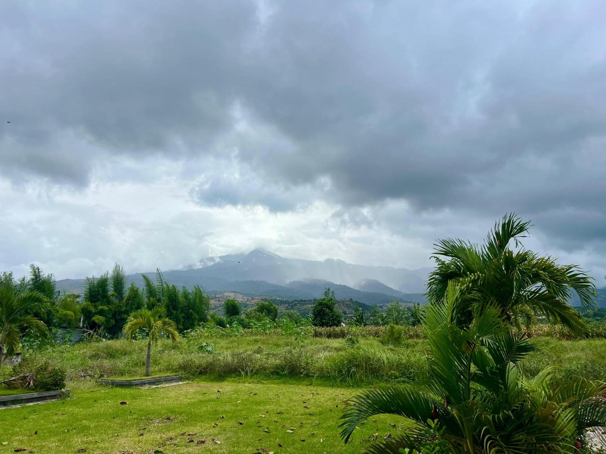 Pohon Purba Resort & Restaurant Labuhan Pandan Екстериор снимка